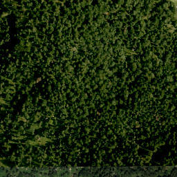 Satellite imagery of Bogenhorn, DE