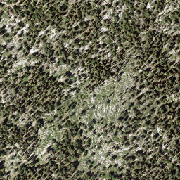 Satellite imagery of Schafberg, AT