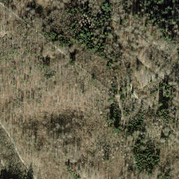 Satellite imagery of Kohlfirst-Turm, CH