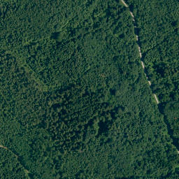 Satellite imagery of Buchachbichel, DE