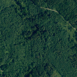 Satellite imagery of Buchachbichel, DE