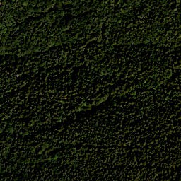 Satellite imagery of Griesler Berg, DE