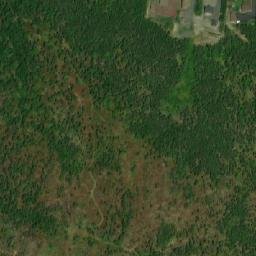 Satellite imagery of Black Point, CA