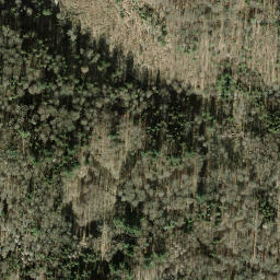Satellite imagery of Kohlfirst-Turm, CH
