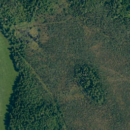 Satellite imagery of Buchachbichel, DE
