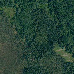 Satellite imagery of Buchachbichel, DE