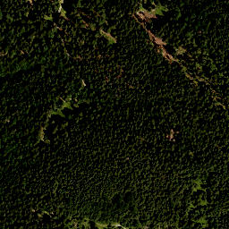 Satellite imagery of Vogelkopf, DE