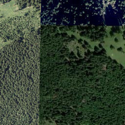 Satellite imagery of Fuchsriegel, AT