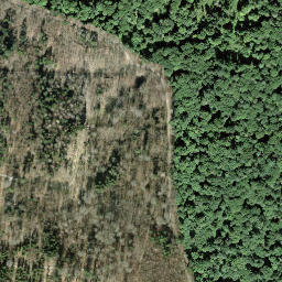 Satellite imagery of Kohlfirst, CH