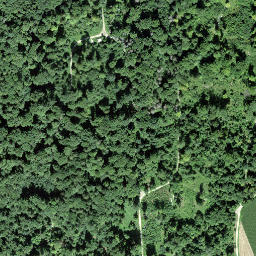 Satellite imagery of Kohlfirst, CH