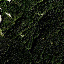 Satellite imagery of Waxenstein (1), DE