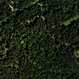 Satellite imagery of Waxenstein (1), DE