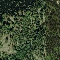 Satellite imagery of Lemberg, DE