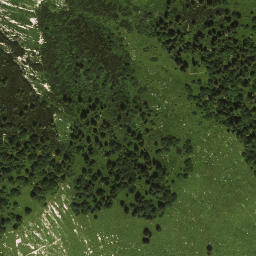 Satellite imagery of Wildalphorn, AT