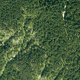 Satellite imagery of Hochmais Kopf, DE
