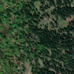 Satellite imagery of Kleiner Rauher Kopf, DE