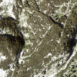 Satellite imagery of Siniweler, AT