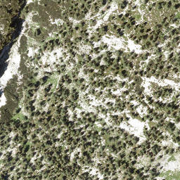 Satellite imagery of Siniweler, AT