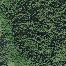 Satellite imagery of Kalaloch Ridge, US