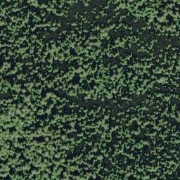 Satellite imagery of Kalaloch Ridge, US