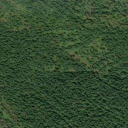 Satellite imagery of Shell Ridge, US