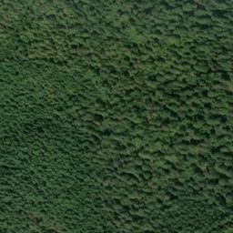 Satellite imagery of Shell Ridge, US