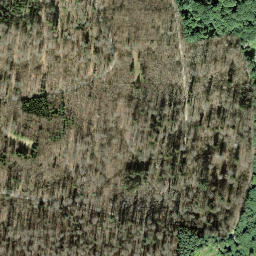 Satellite imagery of Kohlfirst, CH