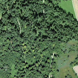 Satellite imagery of Kohlfirst, CH