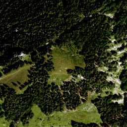 Satellite imagery of Waxenstein (1), DE