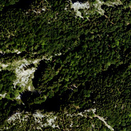 Satellite imagery of Waxenstein (1), DE