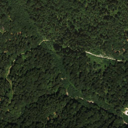 Satellite imagery of Wildalphorn, AT