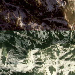 Satellite imagery of Rinnkogel, AT