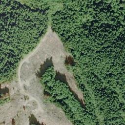 Satellite imagery of Kalaloch Ridge, US
