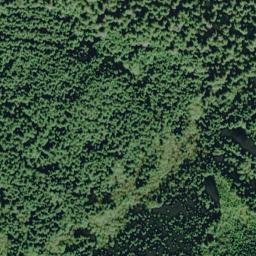 Satellite imagery of Kalaloch Ridge, US