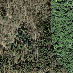 Satellite imagery of Kohlfirst, CH