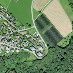 Satellite imagery of Schloss Wolfsberg, CH