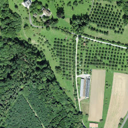 Satellite imagery of Schloss Wolfsberg, CH