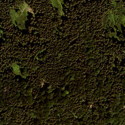 Satellite imagery of Schneidberg, DE