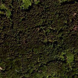 Satellite imagery of Schneidberg, DE