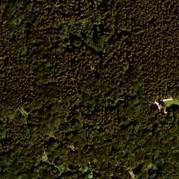 Satellite imagery of Schneidberg, DE