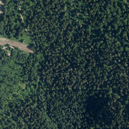 Satellite imagery of Kitzlahnerkopf, DE