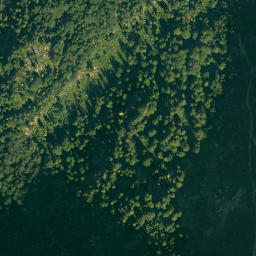 Satellite imagery of Alphorn, DE