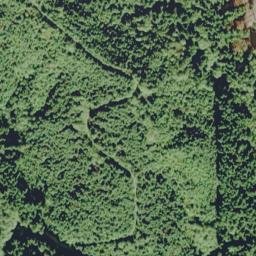 Satellite imagery of Kalaloch Ridge, US