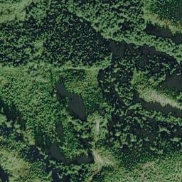 Satellite imagery of Kalaloch Ridge, US