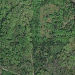 Satellite imagery of Magnolia Bluff, US