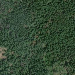 Satellite imagery of Maple Cliff, US