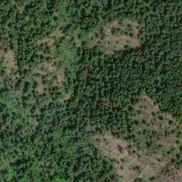 Satellite imagery of Maple Cliff, US