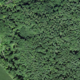 Satellite imagery of Schloss Wolfsberg, CH