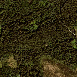 Satellite imagery of Großbicheleck, DE