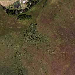 Satellite imagery of survey_point, DE